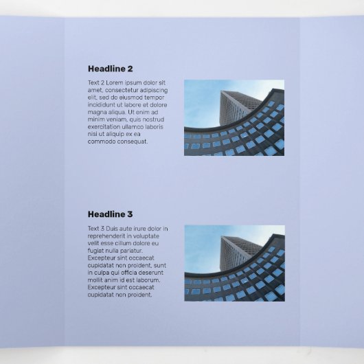 Mittelgradiger monochromer Flat Flying Bird Dreifach Gefaltete Karte (Innenseite Mitte)