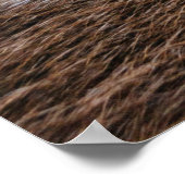 MittelJahrhundert Poster (Ecke)