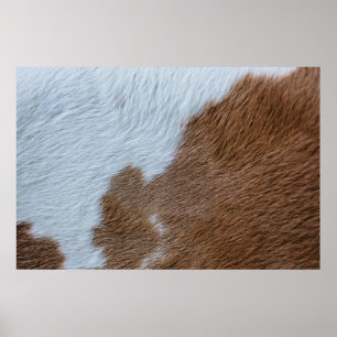 MittelJahrhundert Poster