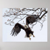 Mittelluftverkehr Poster (Vorne)