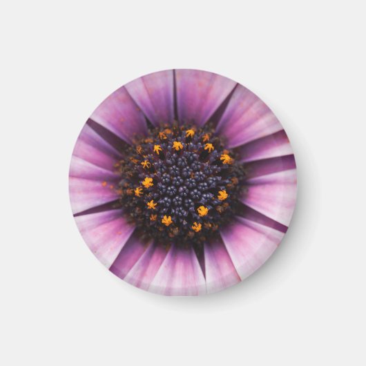 Mittelmagnet der Blume Magnet (Vorne)