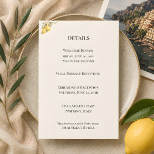 Mittelmeer-Italienische Küsten-Luxus-Hochzeit Begleitkarte