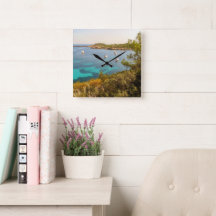 Mittelmeer & Yachten, Portinatx, Ibiza