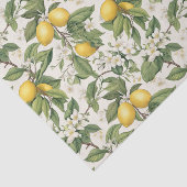 Mittelmeer-Zitrone Botanisches Seidenpapier (Ausschnitt)