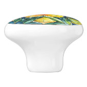 Mittelmeer-Zitrusfrüchte Keramikknauf (Seitenansicht)