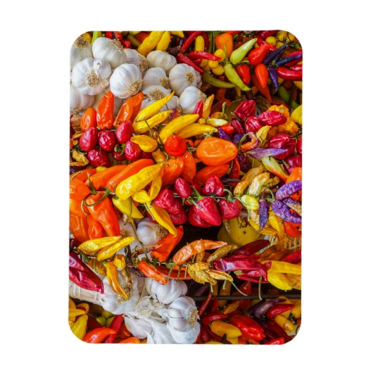 Mittelmeergeschmack Magnet (Vertikal)