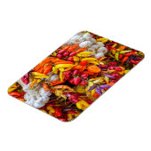 Mittelmeergeschmack Magnet (Linke Seite)