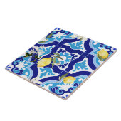 Mittelmeerküste Fliese (Seite)