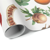 Mittelmeerküste Geschenkpapier (Rolleneckpunkt)