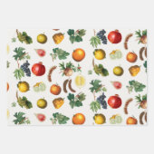 Mittelmeerküste Geschenkpapier Set (Vorderseite)