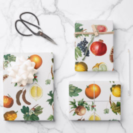 Mittelmeerküste Geschenkpapier Set