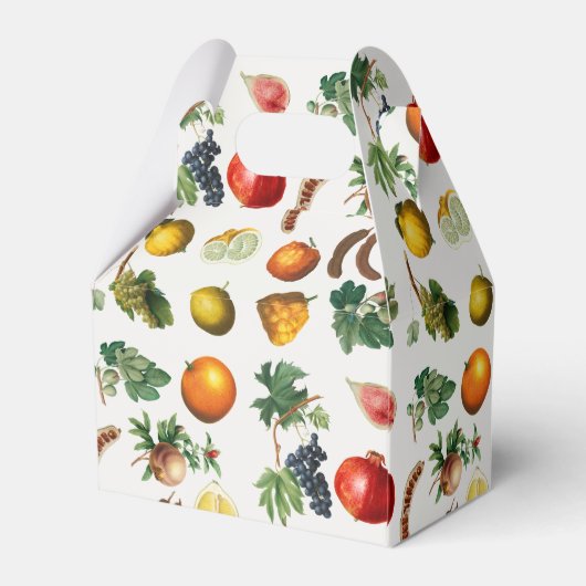 Mittelmeerküste Geschenkschachtel (Rückseite)