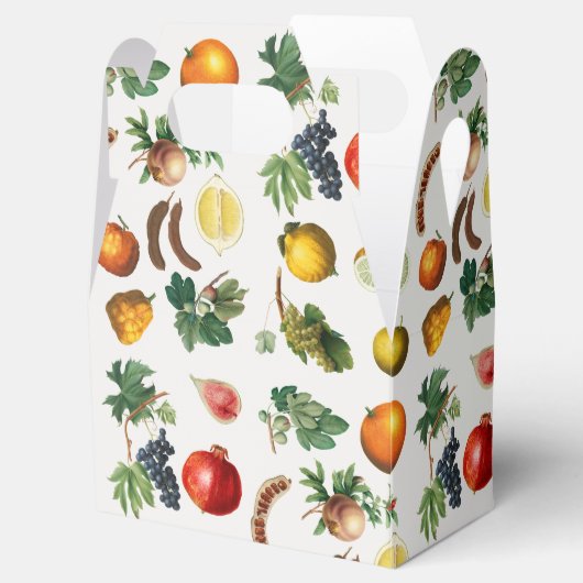 Mittelmeerküste Geschenkschachtel (Geöffnet)