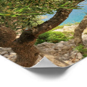Mittelmeerküste Olivenbaum Foto Poster (Ecke)