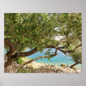 Mittelmeerküste Olivenbaum Foto Poster (Vorne)