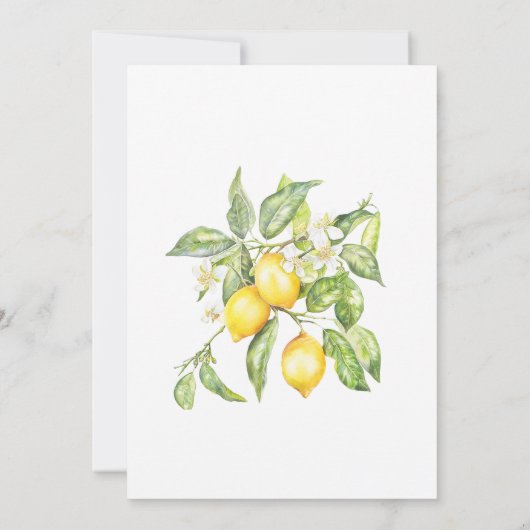 Mittelmeerlemon Citrus Hochzeitseinladung Einladung (Rückseite)