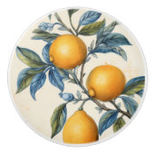 Mittelmeerlemon Grove Keramikknauf (Vorderseite)