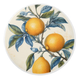 Mittelmeerlemon Grove Keramikknauf