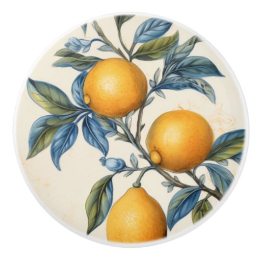 Mittelmeerlemon Grove Keramikknauf (Vorderseite)