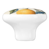 Mittelmeerlemon Grove Keramikknauf (Seitenansicht)