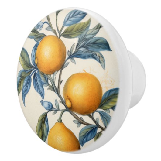 Mittelmeerlemon Grove Keramikknauf (Rechts)