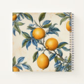 Mittelmeerlemon Grove Notizblock (Rückseite)