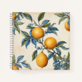 Mittelmeerlemon Grove Notizblock (Vorderseite)