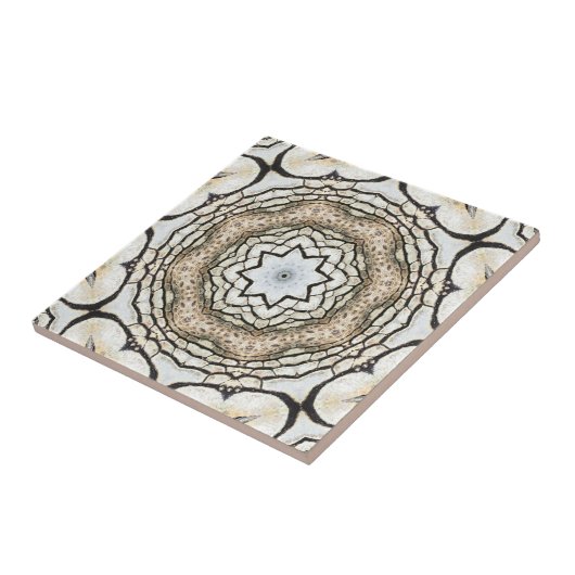 Mittelmeermosaik Inspirierte Keramik Tile Fliese (Seite)