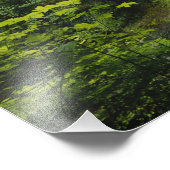 Mittelnord fällt, Silver Falls Staat Park, Fotodruck (Ecke)