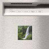 Mittelnord fällt, Silver Falls Staat Park, Magnet (In Situ (Geschirrspüler))