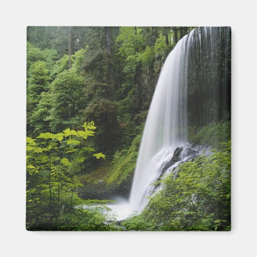 Mittelnord fällt, Silver Falls Staat Park, Magnet (Vorne)