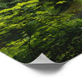 Mittelnord fällt, Silver Falls Staat Park, Poster (Ecke)