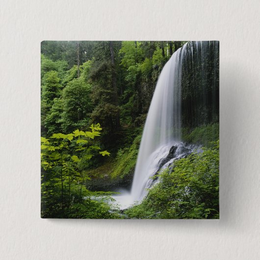Mittelnordfallen, Silver Falls Staat Park, Button (Vorderseite)
