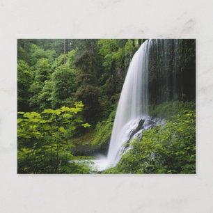 Mittelnordfallen, Silver Falls Staat Park, Postkarte