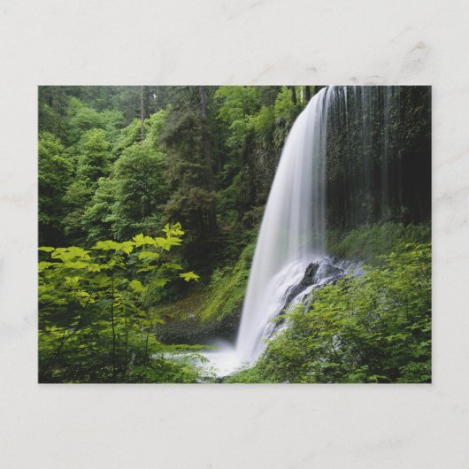 Mittelnordfallen, Silver Falls Staat Park, Postkarte (Vorderseite)
