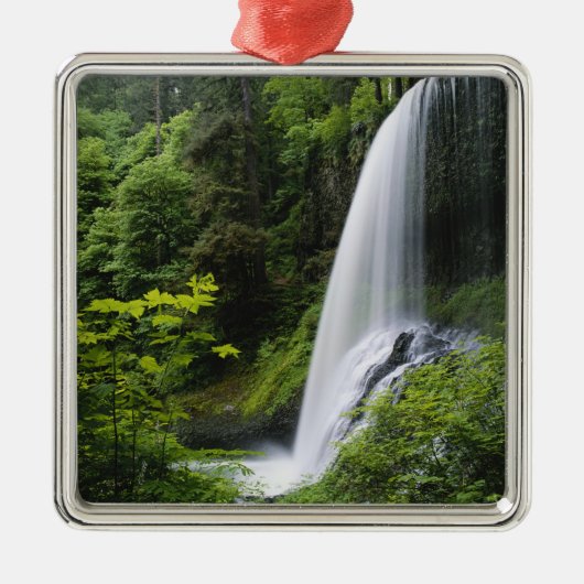 Mittelnordfallen, Silver Falls Staat Park, Silbernes Ornament (Vorne)
