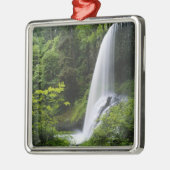 Mittelnordfallen, Silver Falls Staat Park, Silbernes Ornament (Links)