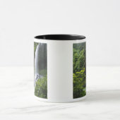 Mittelnordfallen, Silver Falls Staat Park, Tasse (Zentrum)