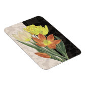 Mittelpunkt II Magnet (Rechte Seite)