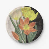 Mittelpunkt II Pappteller (Vorderseite)