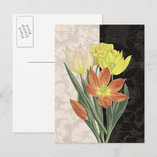 Mittelpunkt II Postkarte (Vorne/Hinten)