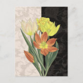 Mittelpunkt II Postkarte (Vorderseite)