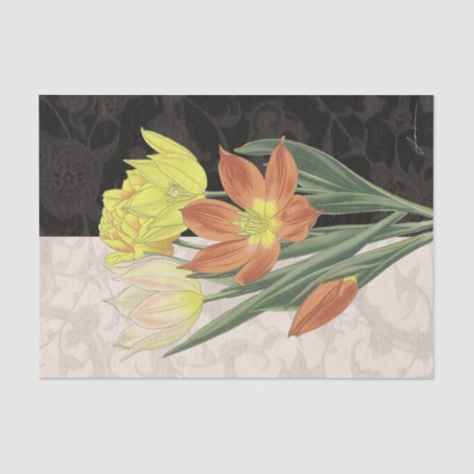 Mittelpunkt II Seidenpapier (Vorderseite)