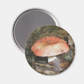 Mittelrot-Mushroom-Magnet Magnet (Vorderseite/Rückseite)