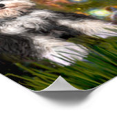 Mittelsommer Eve - Schnauzer (B) Poster (Ecke)