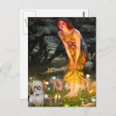 Mittelsommer Eve - Shih Tzu (P) Postkarte (Vorne/Hinten)