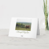 Mittelwestfotografie | Schöne Kuh und Landschaft Karte (Rückseite)