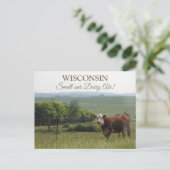 Mittelwestfotografie | Schöne Kuh und Landschaft Postkarte (Stehend Vorderseite)