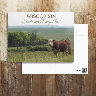 Mittelwestfotografie | Schöne Kuh und Landschaft Postkarte