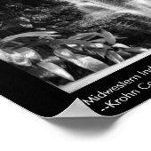 Mittelwestlicher Regenwald Poster (Ecke)